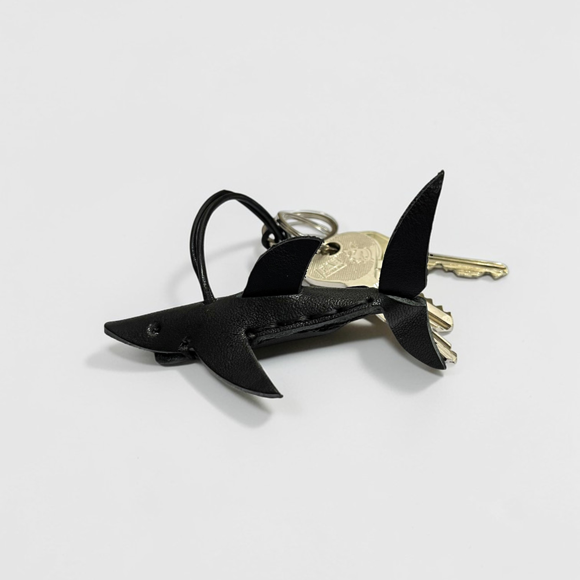 transparent-Photoroom - 2026-03-19T083200.334