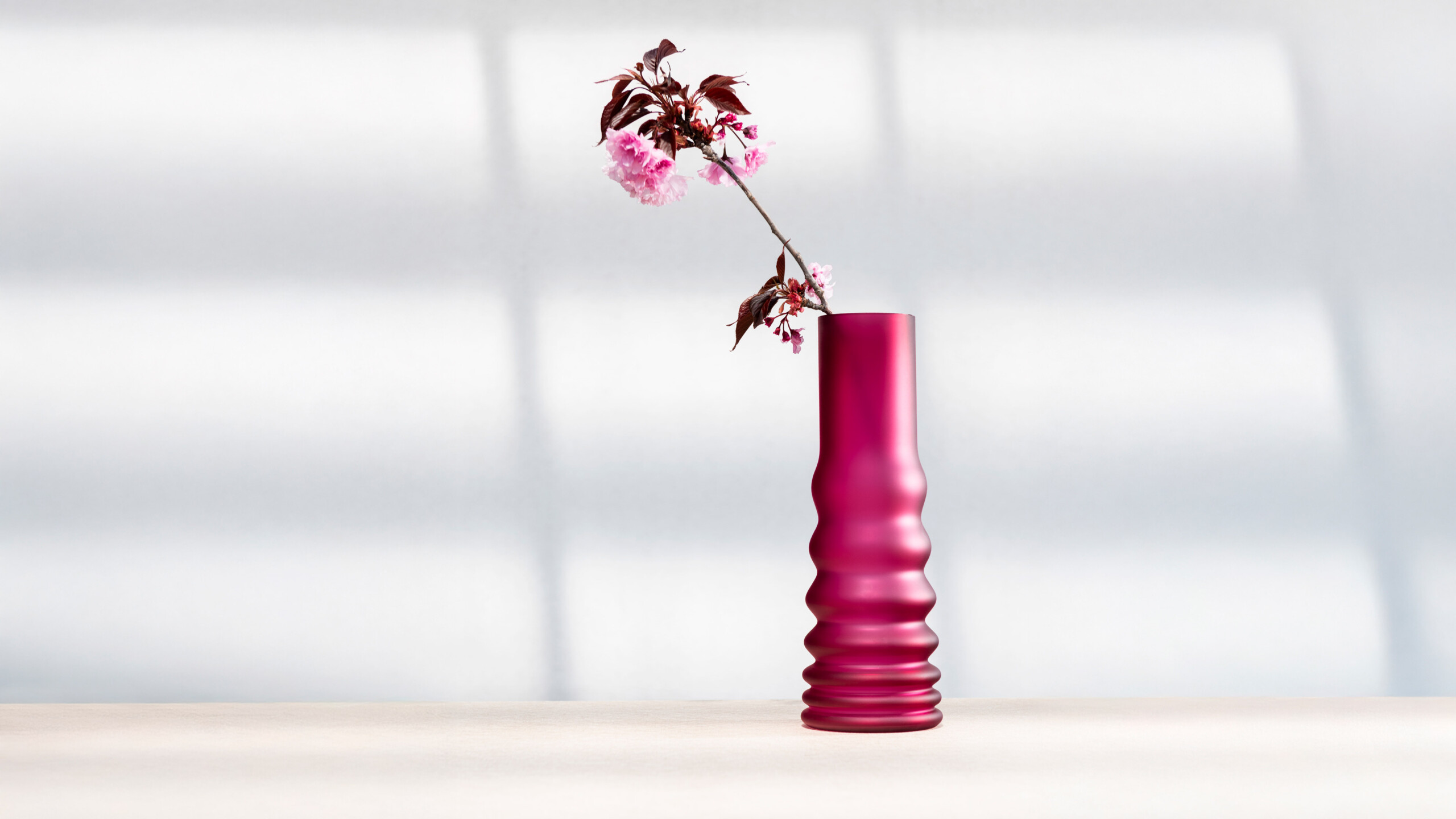 _NZZ4731_pinky-tinky_16_9